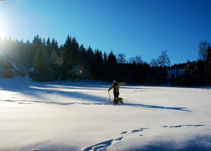 Waldgasthaus & Teichhaus Хольцхау