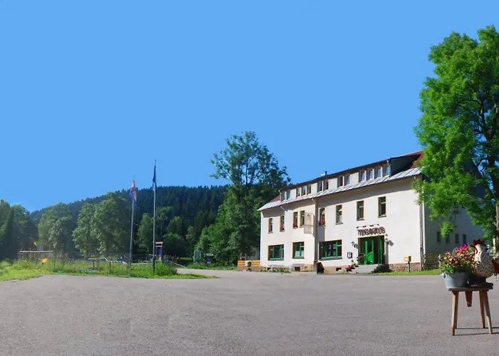 Гостевой дом Waldgasthaus & Teichhaus Хольцхау